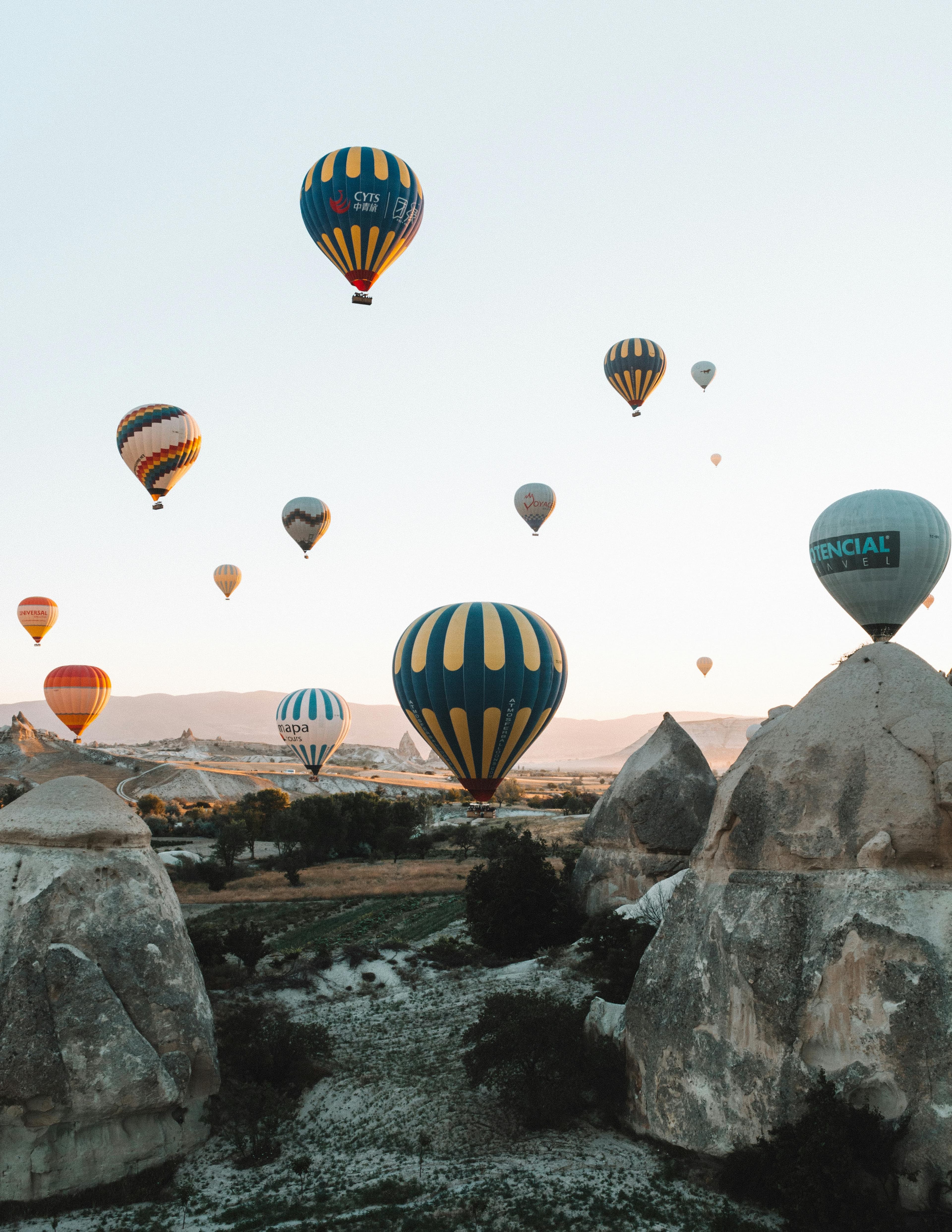 turkey